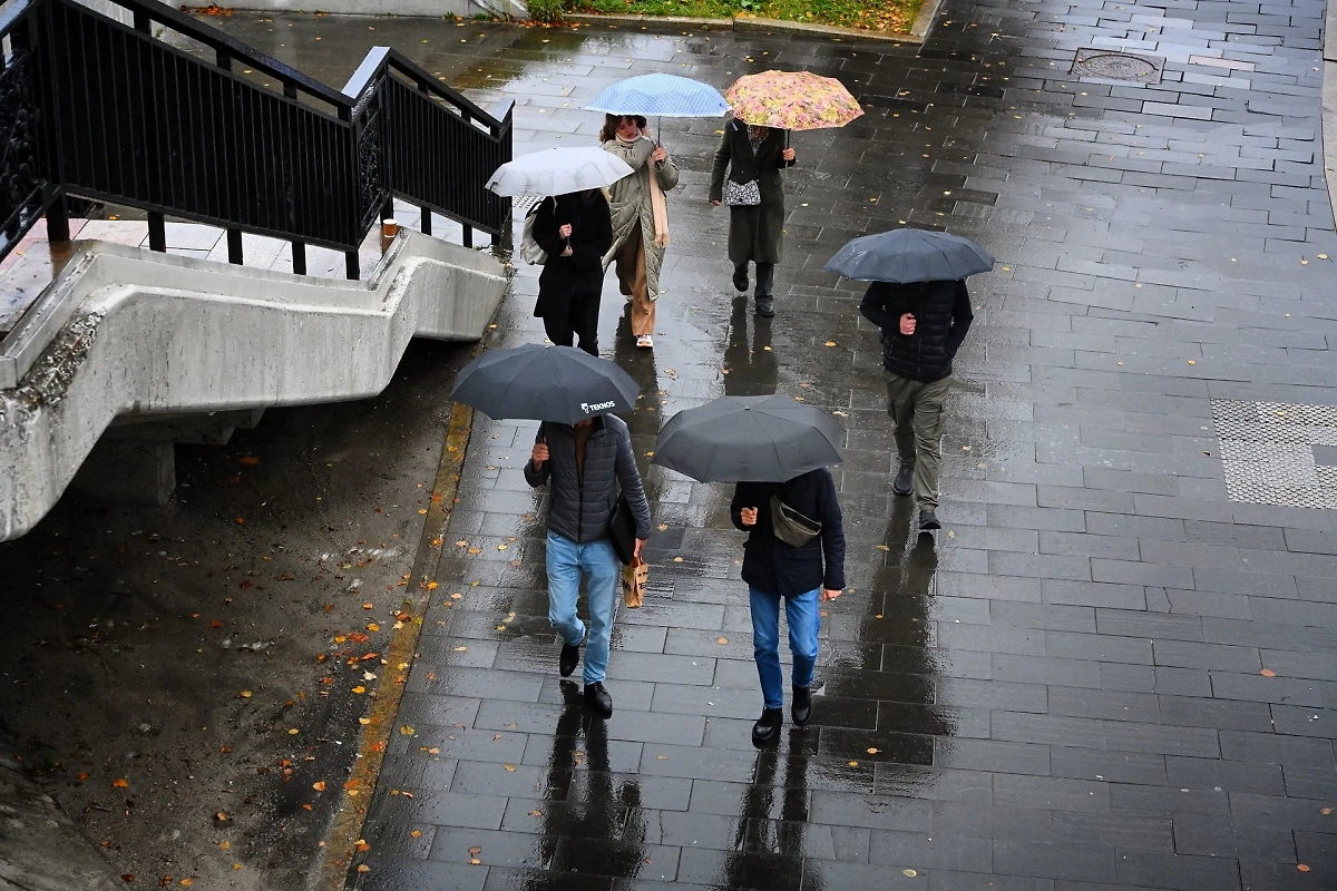 От климатического безумия до бабьего лета: Погода в ноябре 2025 в Москве и других городах России