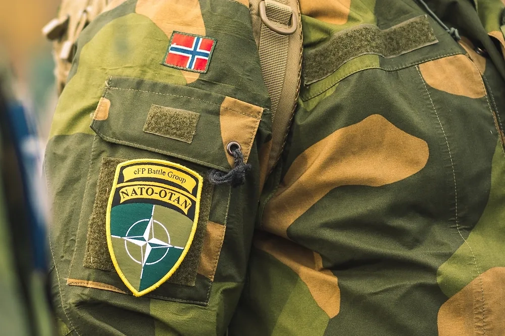 Норвежский солдат. Обложка © Shutterstock / FOTODOM / Michele Ursi