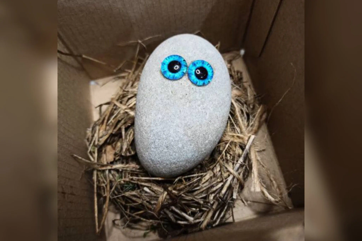 Камень, заменяющий домашнее животное. Фото © Скриншот карточки товара