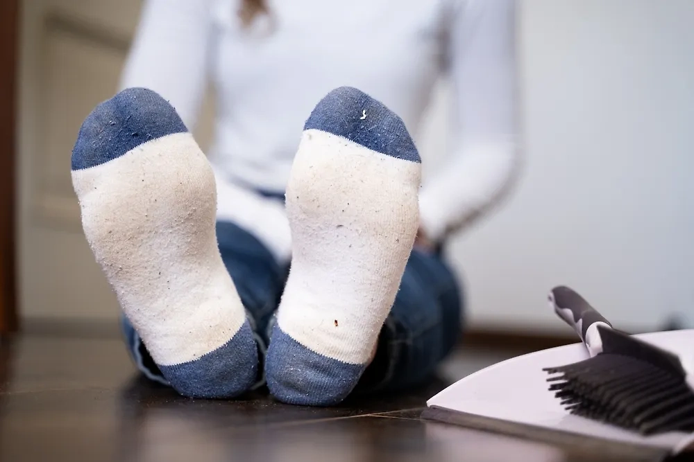 Как помыть полы без швабры — интересный лайфхак из 2025 года. И речь не о мытье полов руками на корточках. Фото © Shutterstock / FOTODOM / monshtein