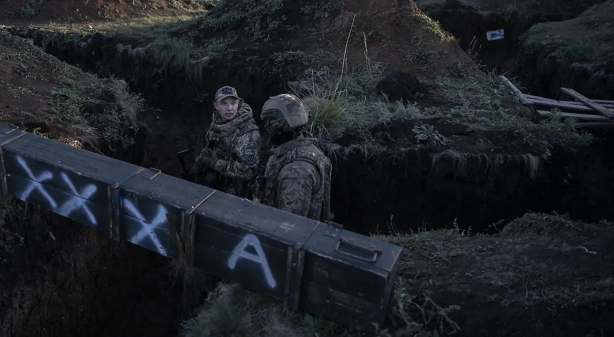 Обложка © Getty Images / Ozge Elif Kizil / Anadolu