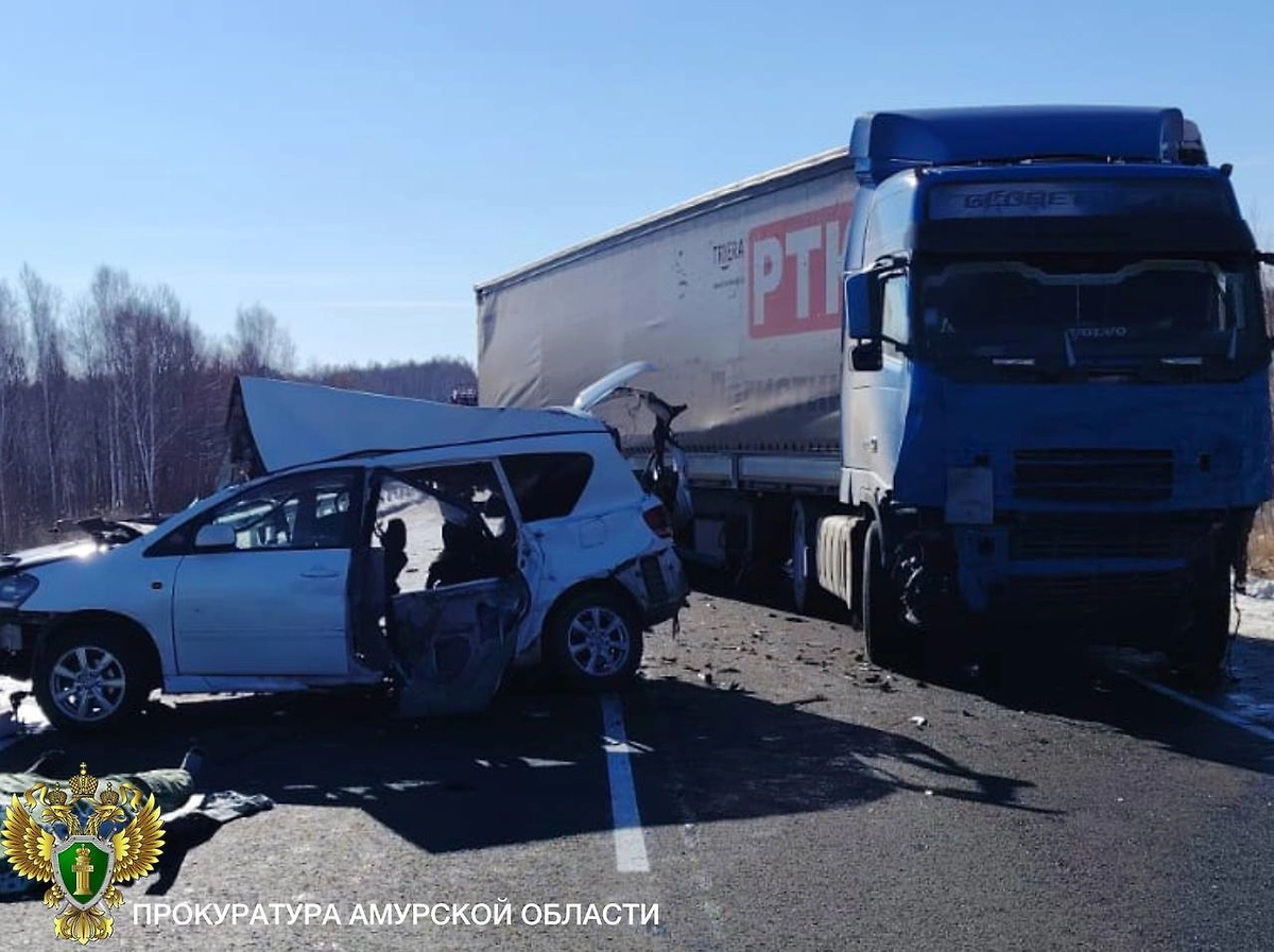 Обложка © Telegram / Прокуратура Амурской области