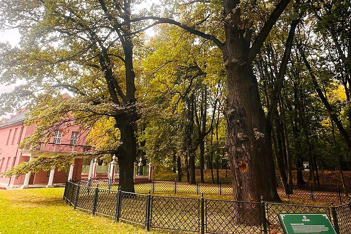 Фото © Сайт мэра Москвы