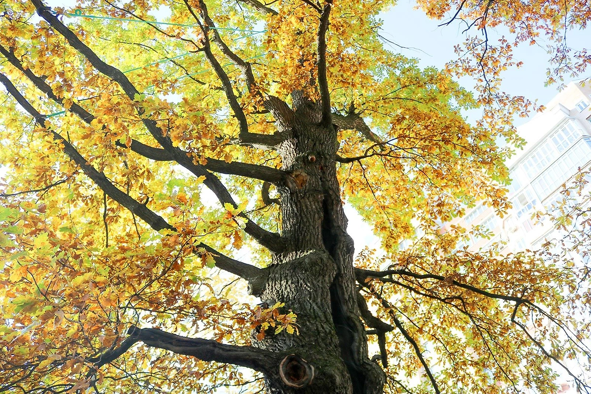 Фото © Сайт мэра Москвы