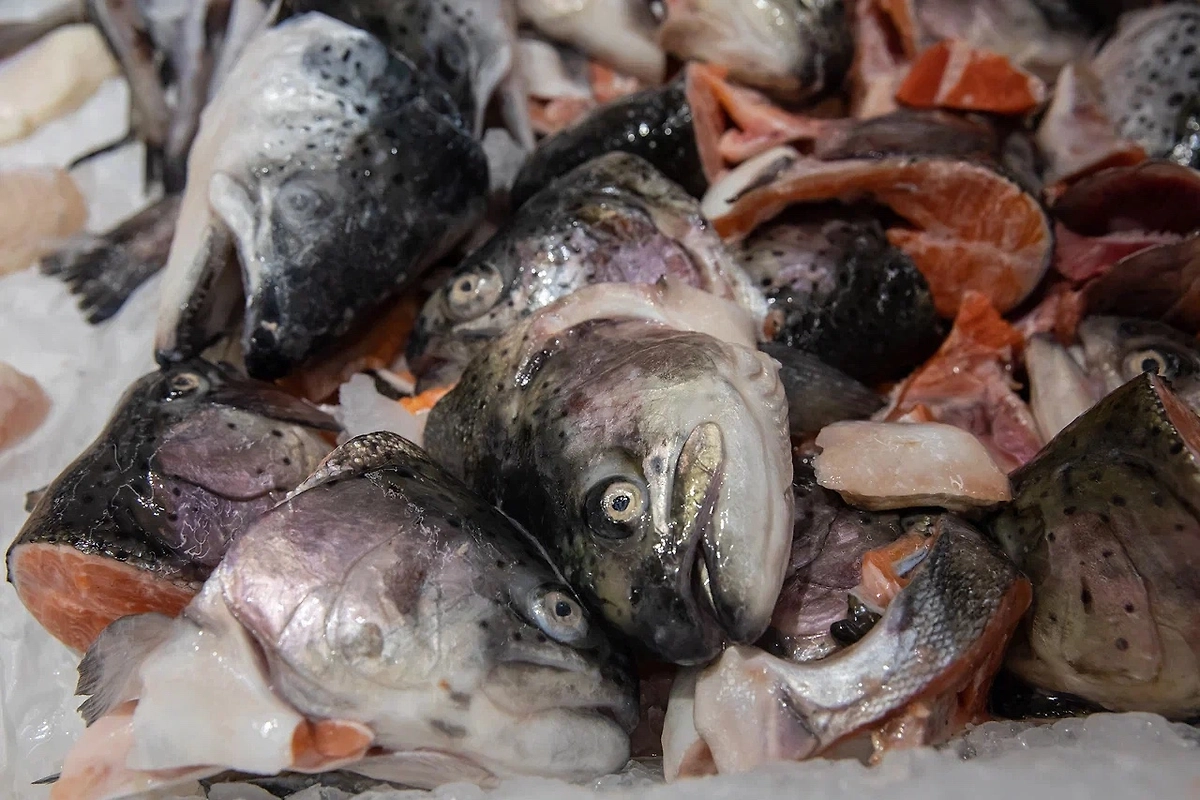 Обложка © Life.ru