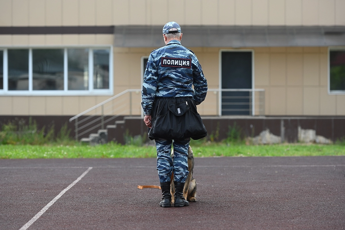 В Ленобласти полицейские раскрыли узел связи украинских мошенников В Ленобласти полицейские раскрыли узел связи украинских мошенников