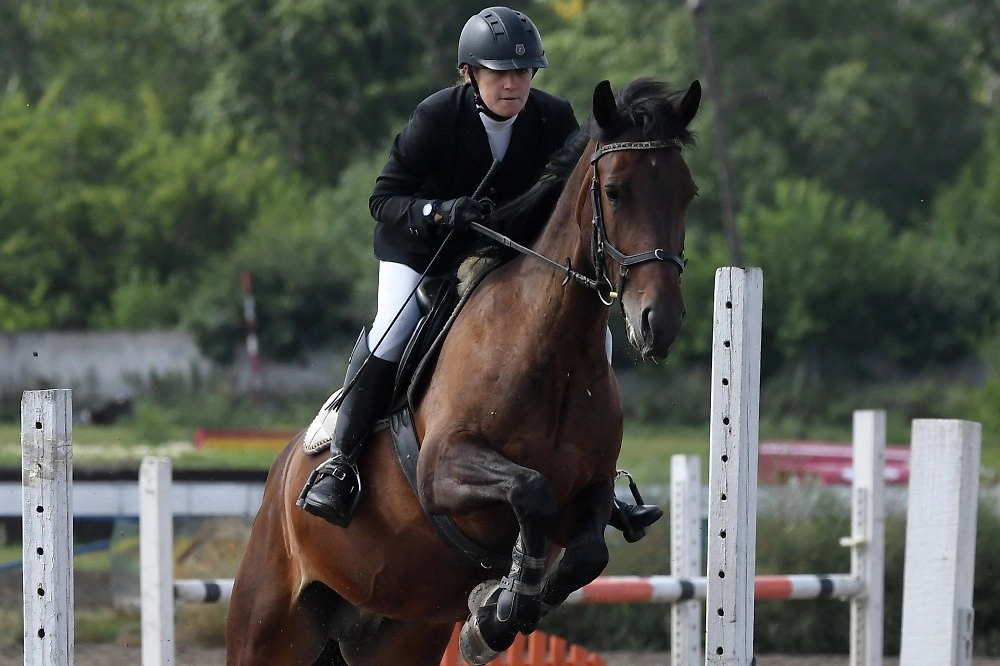 Обложка © РИА Новости / Илья Наймушин