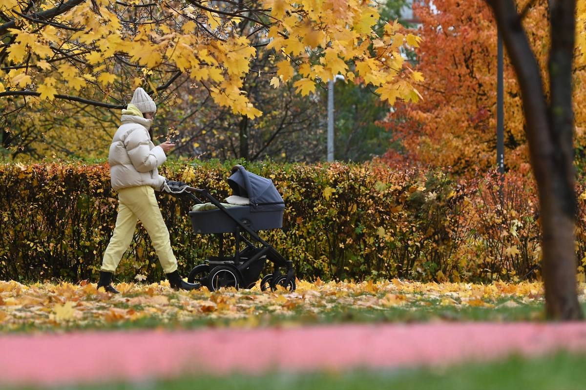 С 1 декабря изменится порядок начисления пособий на детей. Как будут проводить выплаты