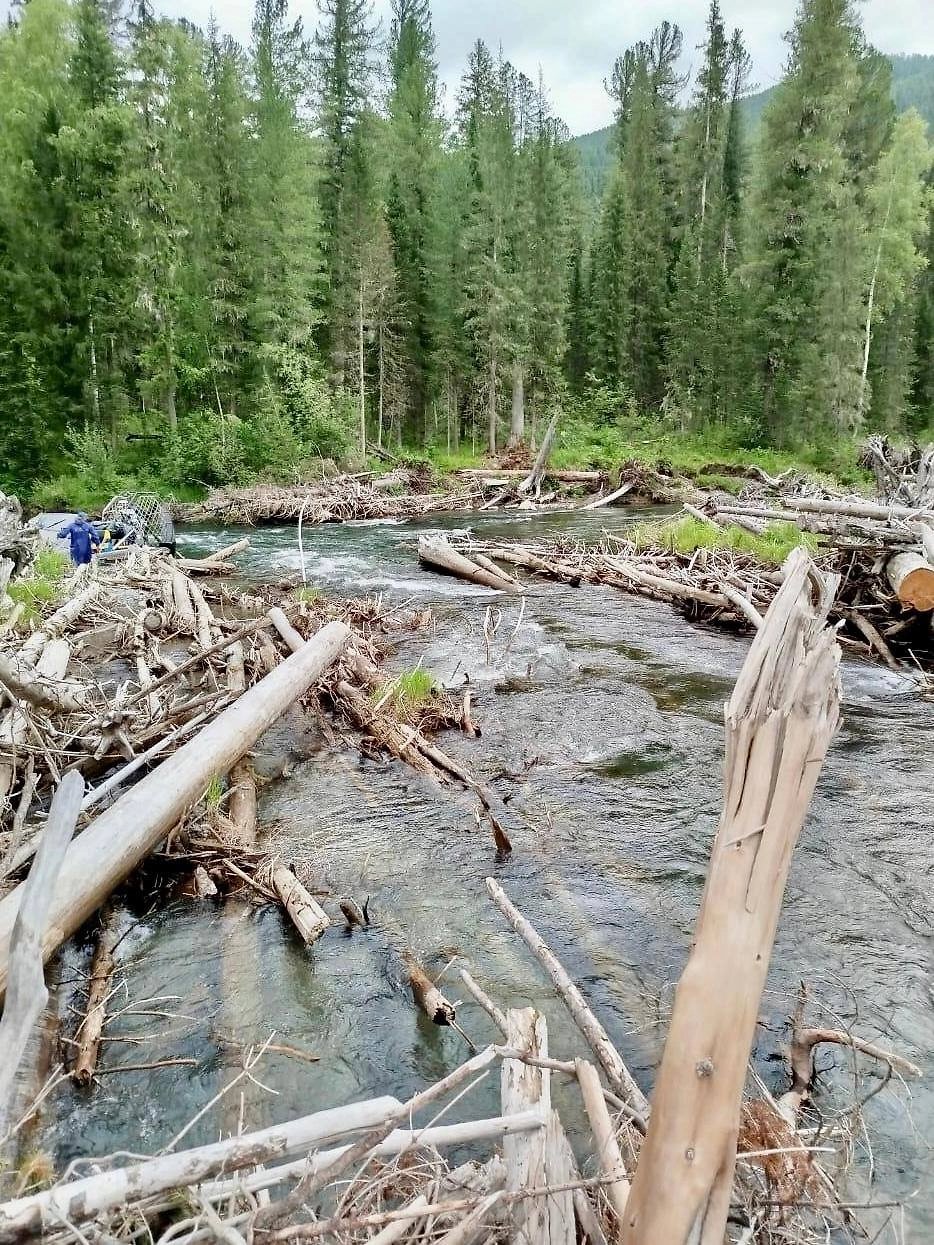 Хакасии река смыла баню и старый дом Агафьи Лыковой, но новый дом в порядке. Фото © Telegram / Фонд «Вольное дело»