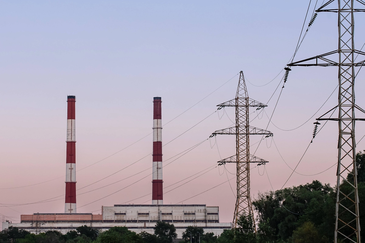 Обложка © Shutterstock / FOTODOM / Olena Shvets