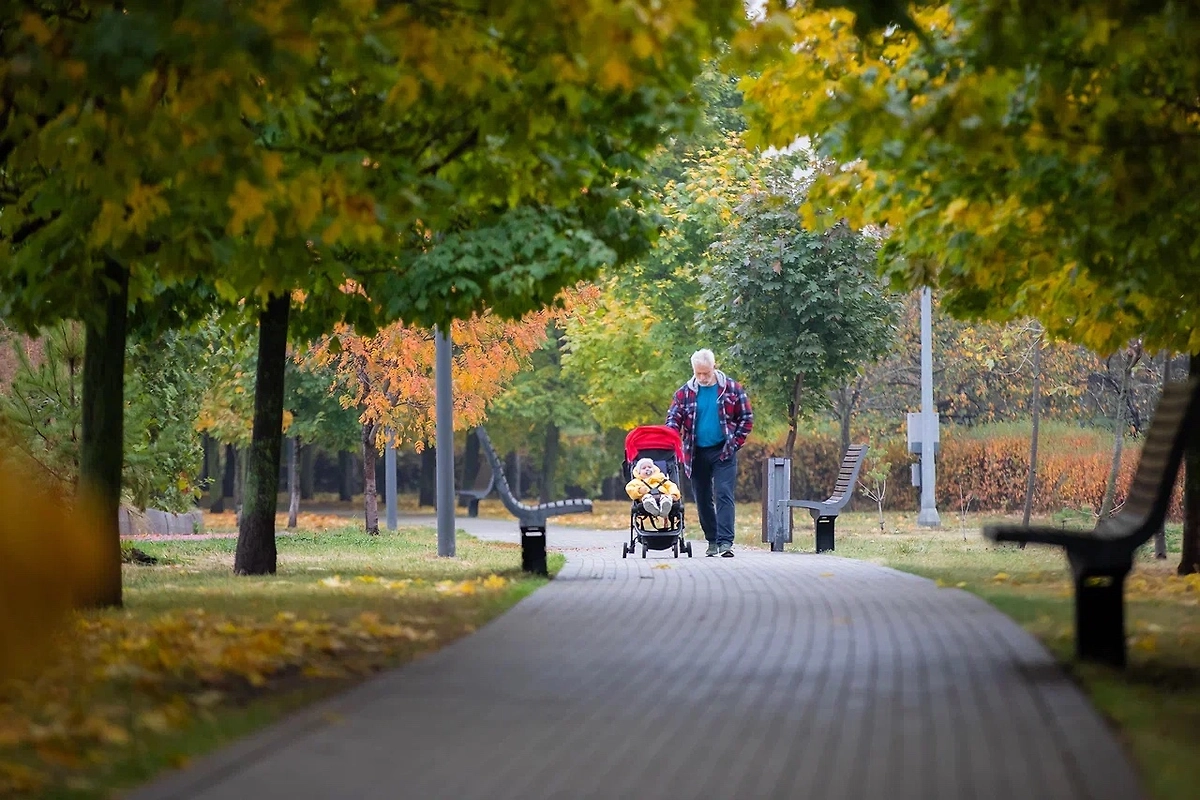 Обложка © Life.ru