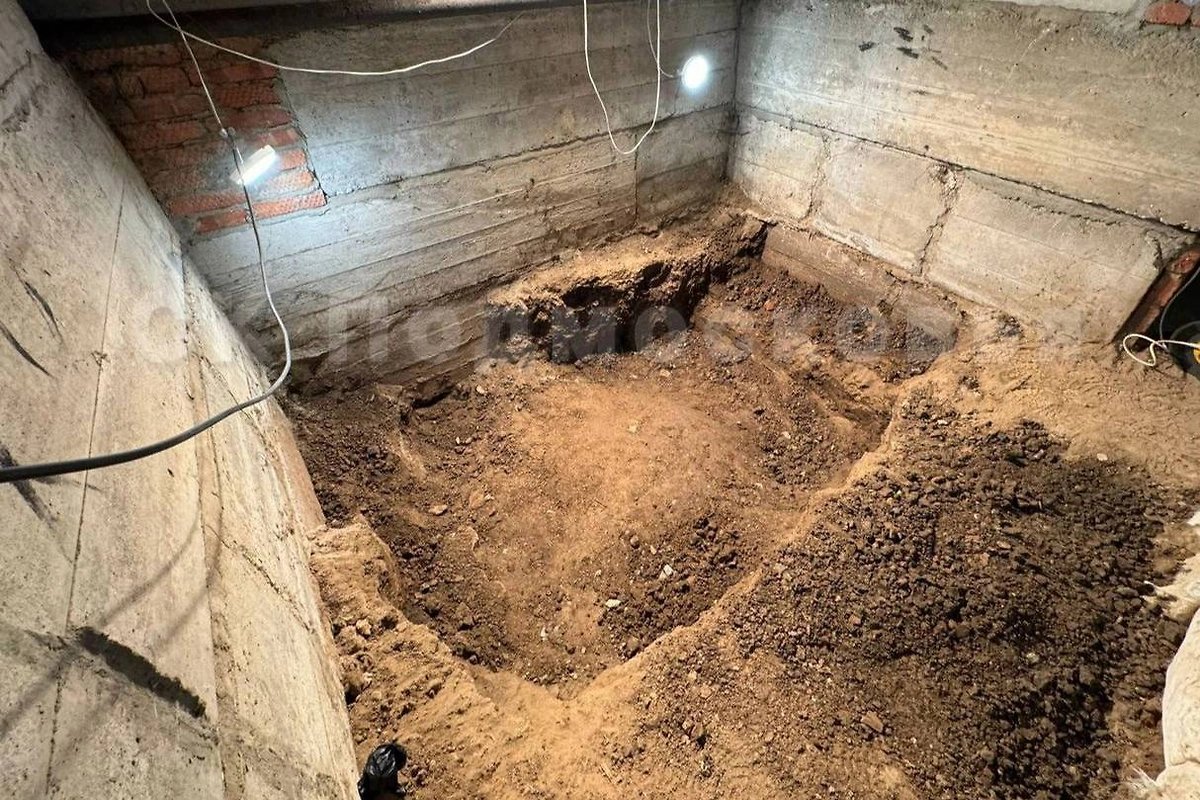 Обложка © Telegram / СК Подмосковья