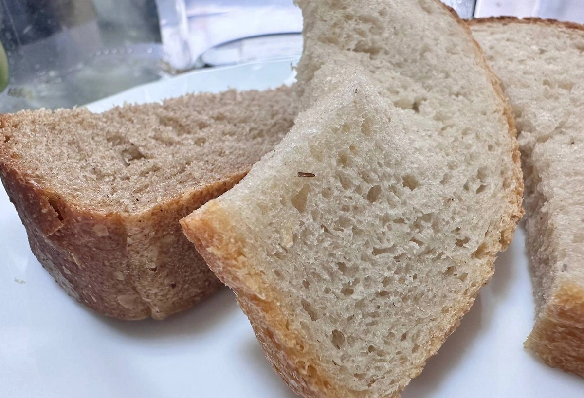 Хлеб с личинками. Фото © Telegram / Прокуратура Камчатского края
