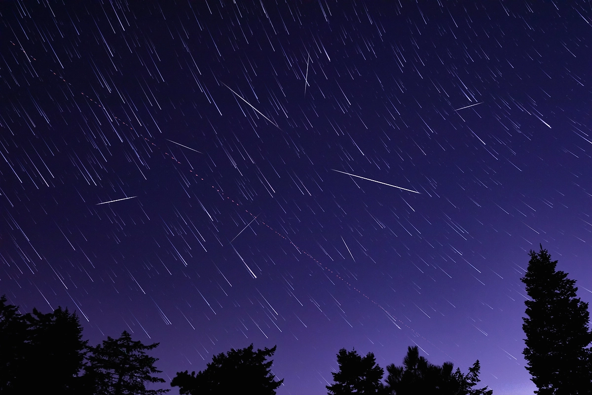История метеорного потока Леониды — она захватывающая. Правда, речь об истории реакции человечества на звездопад. Фото © Shutterstock / FOTODOM / AstroStar
