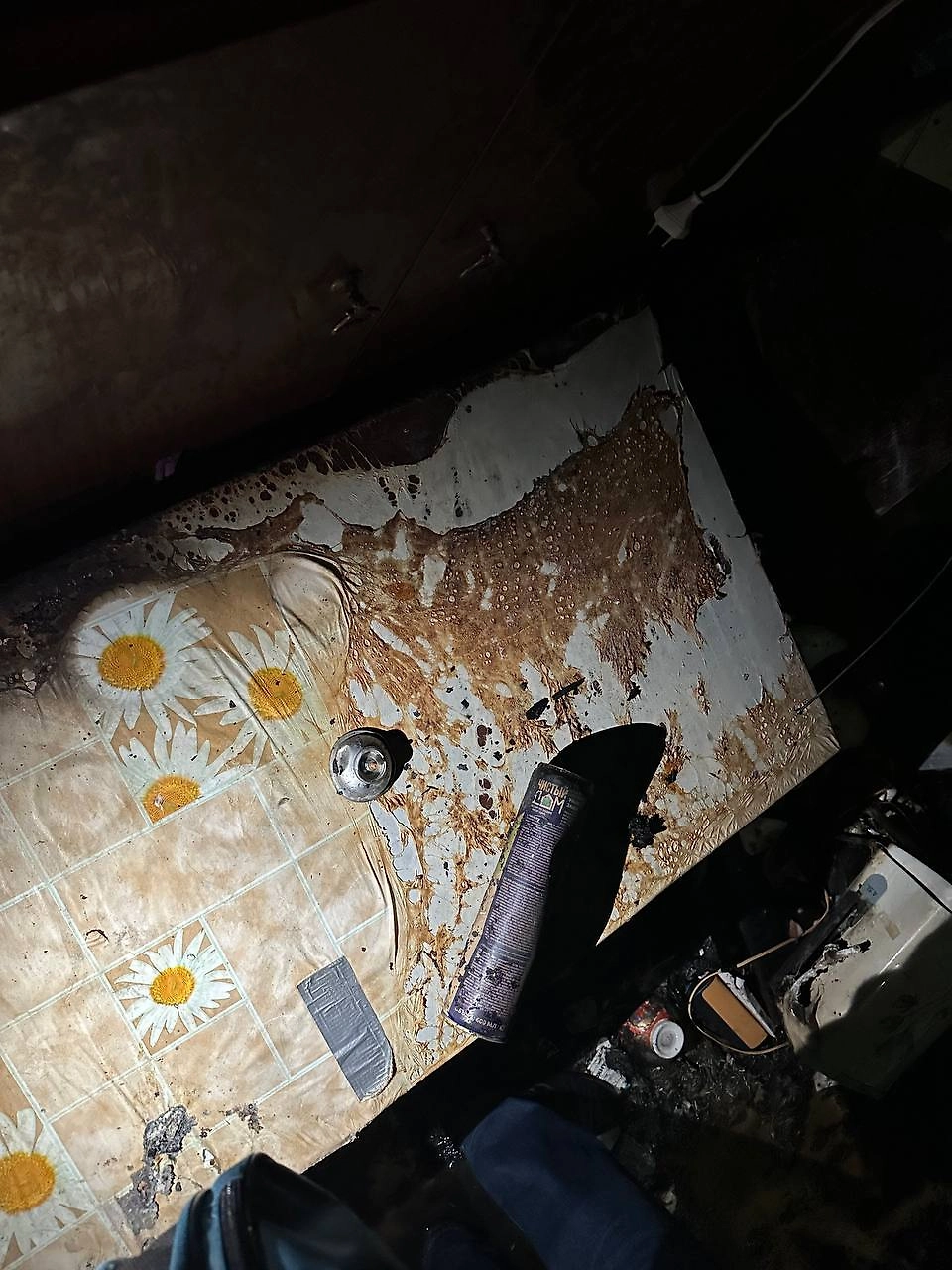 Фото © Прокуратура Красноярского края