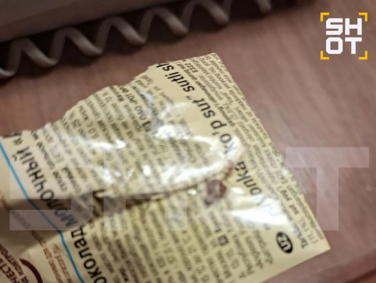 Клопы в отеле в Египте. Фото © Telegram / SHOT