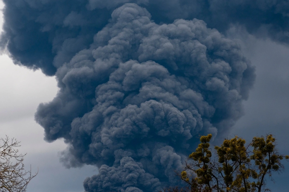 Обложка © Shutterstock / FOTODOM / OlegD