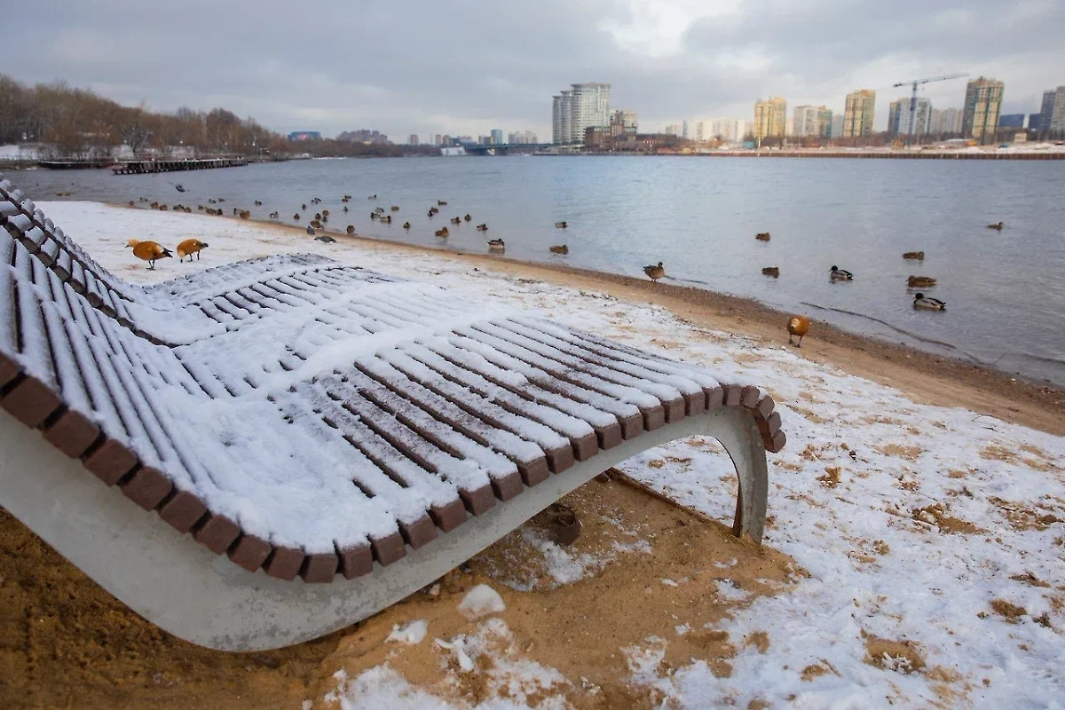 На Москву надвигается сильный снегопад, местами переходящий в дождь