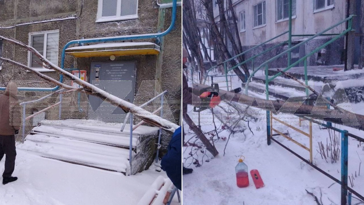 Метель в Мурманске. Фото © Telegram / Baza