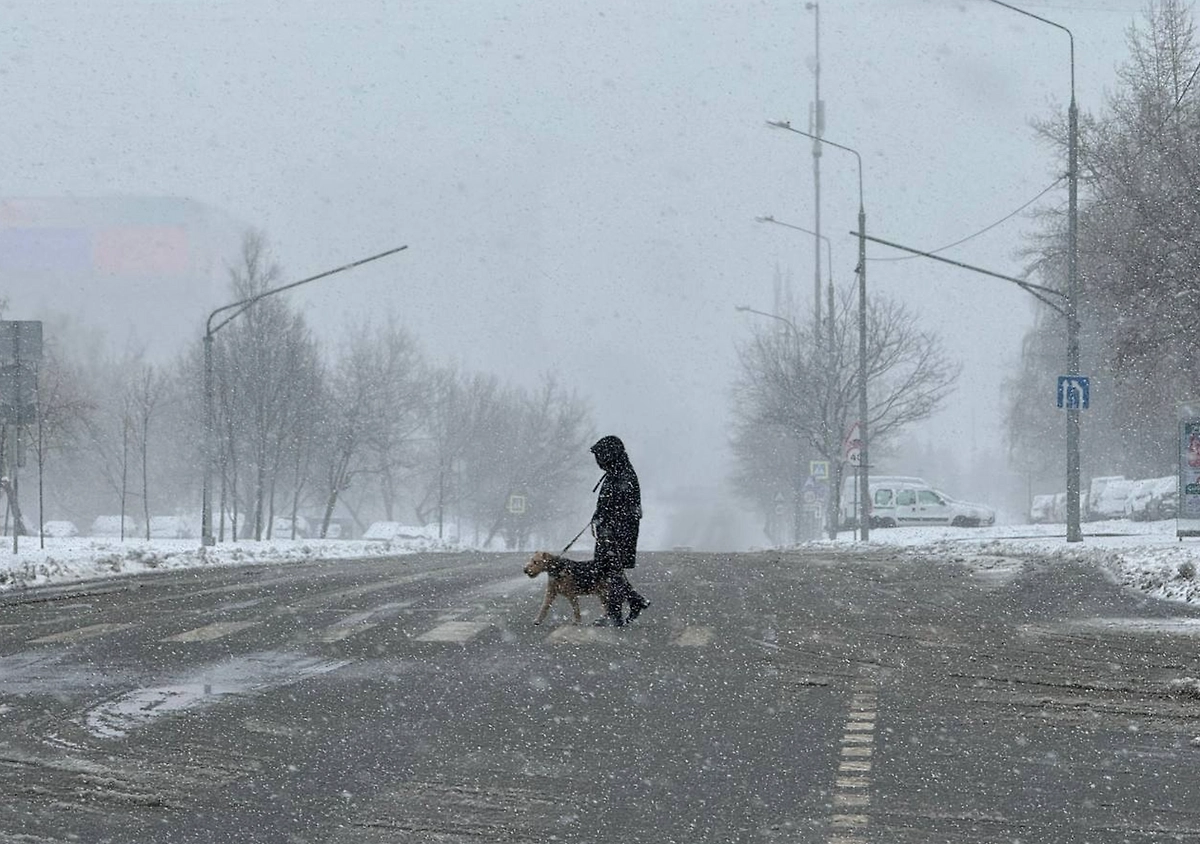 Обложка © Life.ru