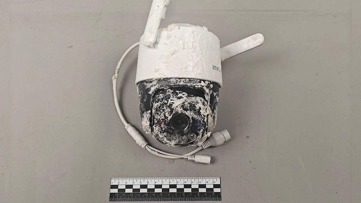 Замаскированное взрывное устройство. Фото © ЦОС ФСБ