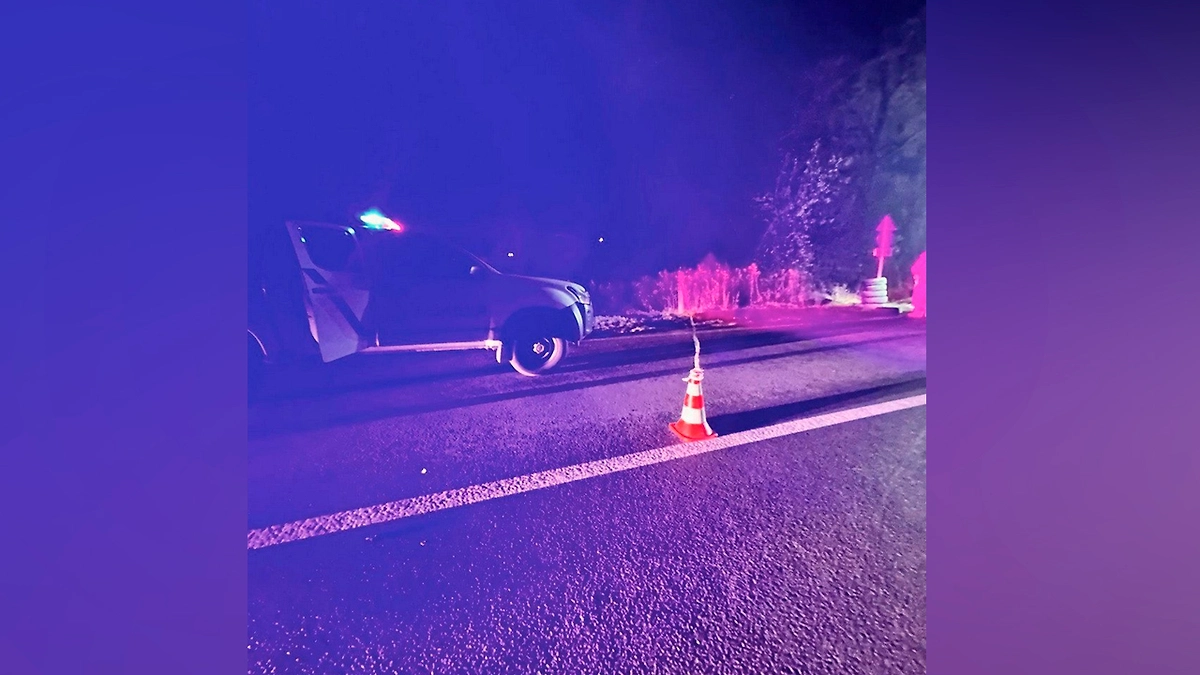 На западе Украины мужчина взорвал гранату при задержании дорожным патрулем. Фото © Полиция Украины