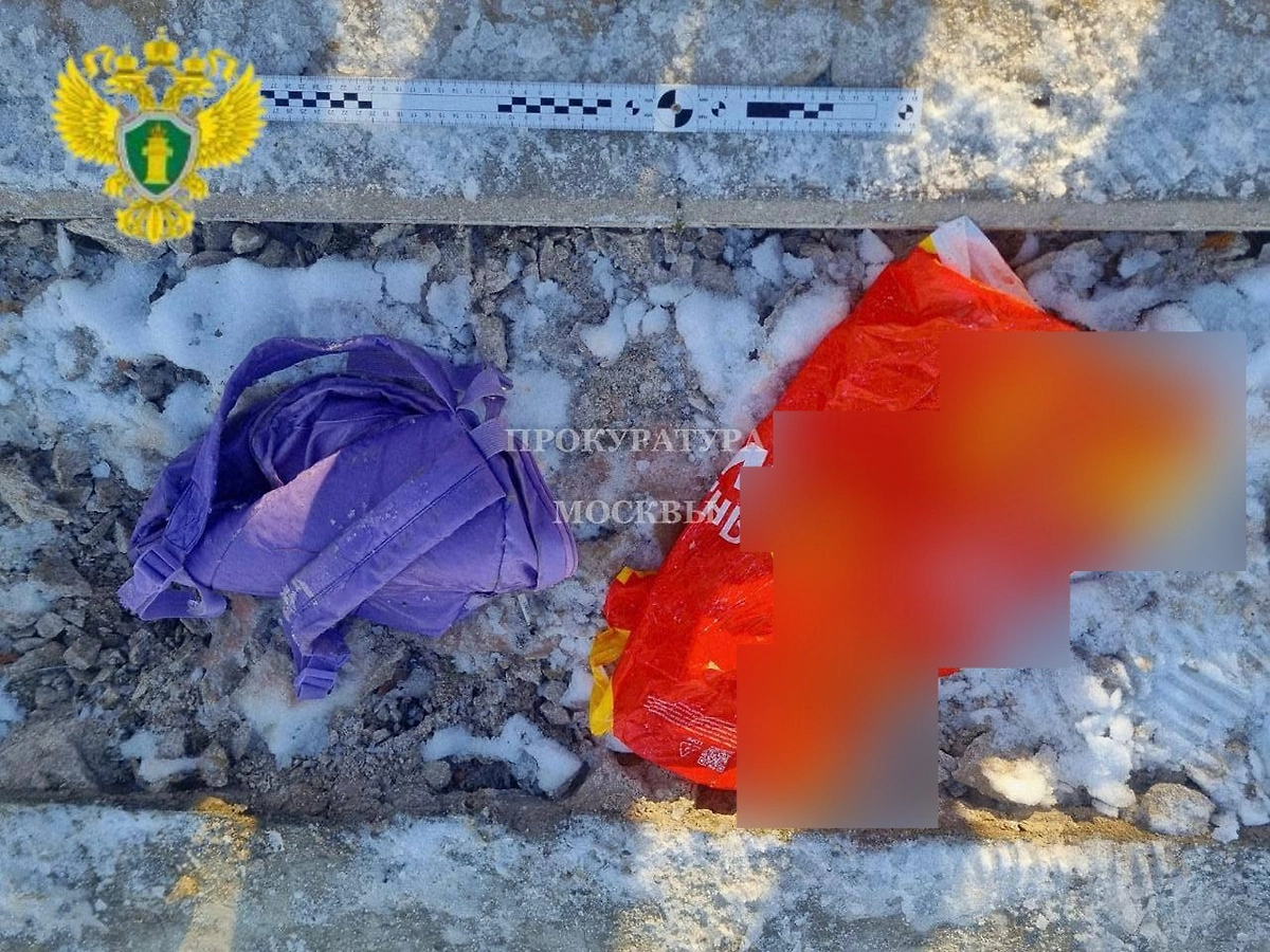 Пакет и рюкзак, в котором нашли голову мальчика в Москве. Фото © Telegram /ПРОКУРАТУРА МОСКВЫ