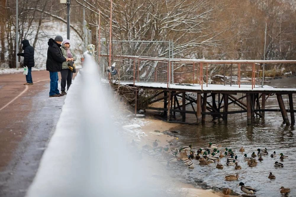В воскресенье жителей Москвы и Подмосковья ожидают облачность и гололедица В воскресенье жителей Москвы и Подмосковья ожидают облачность и гололедица