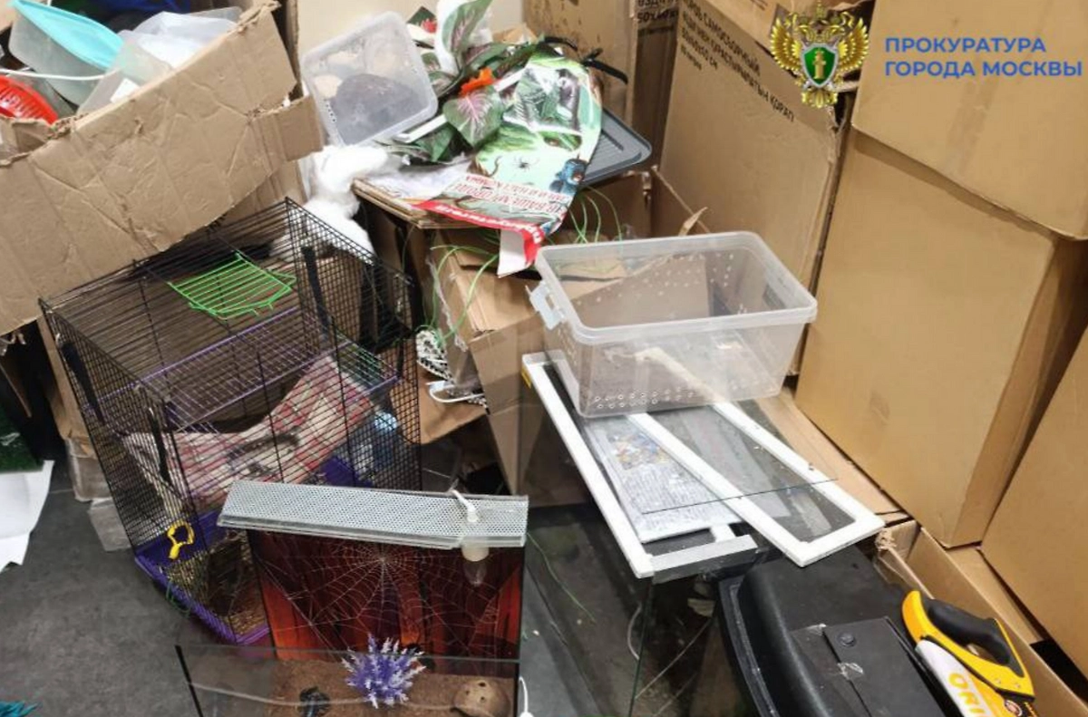 Место содержания животных. Фото © Telegram / Прокуратура Москвы