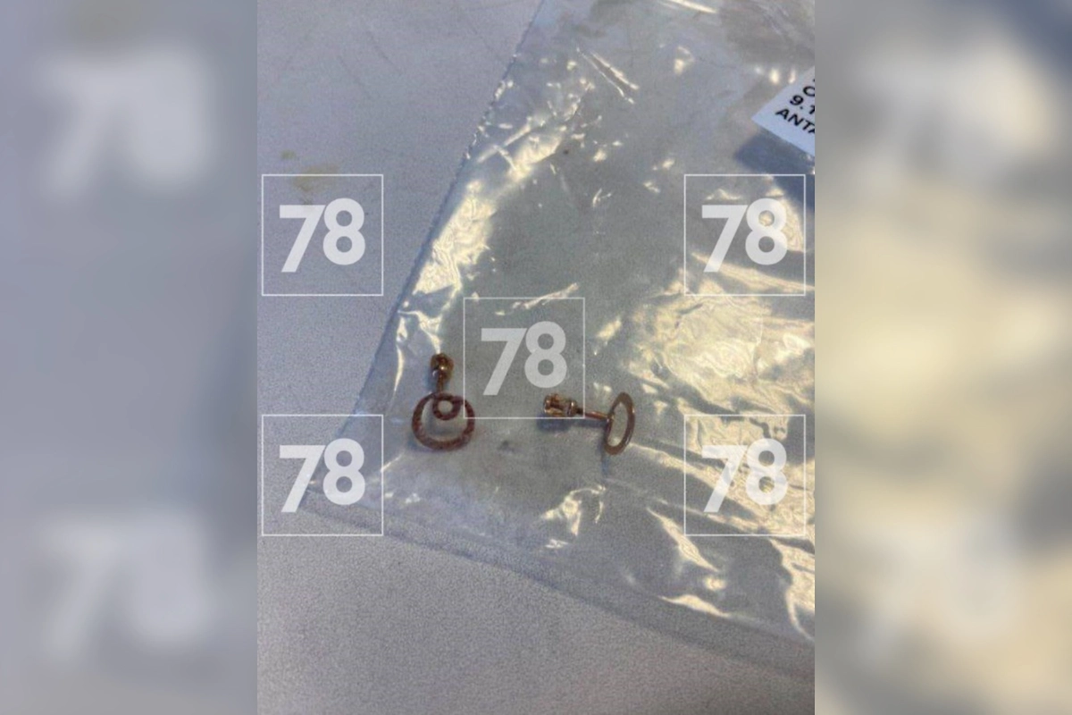 Серёжки пропавшей россиянки. Фото © Telegram / 78.ru