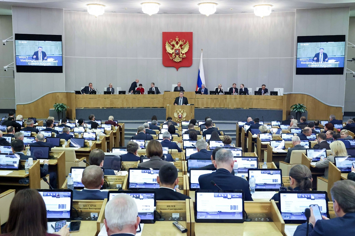 Госдума приняла законопроект об изменениях в НК во втором чтении. Фото © ТАСС / Пресс-служба Госдумы РФ