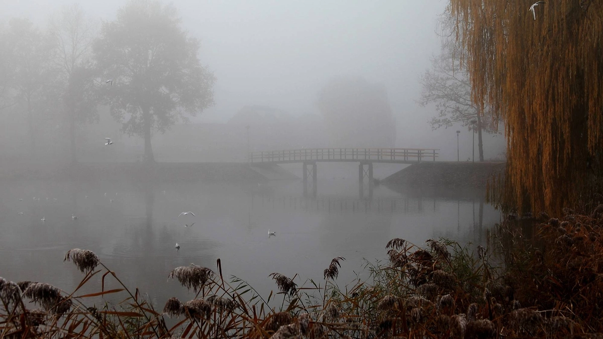 Народные приметы на 20 ноября, Федотов день. Фото © Freepik