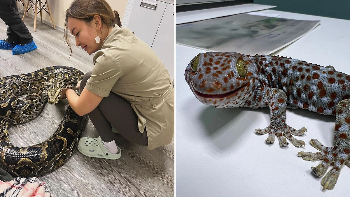 Фото © Личный архив Алии Рафисовны