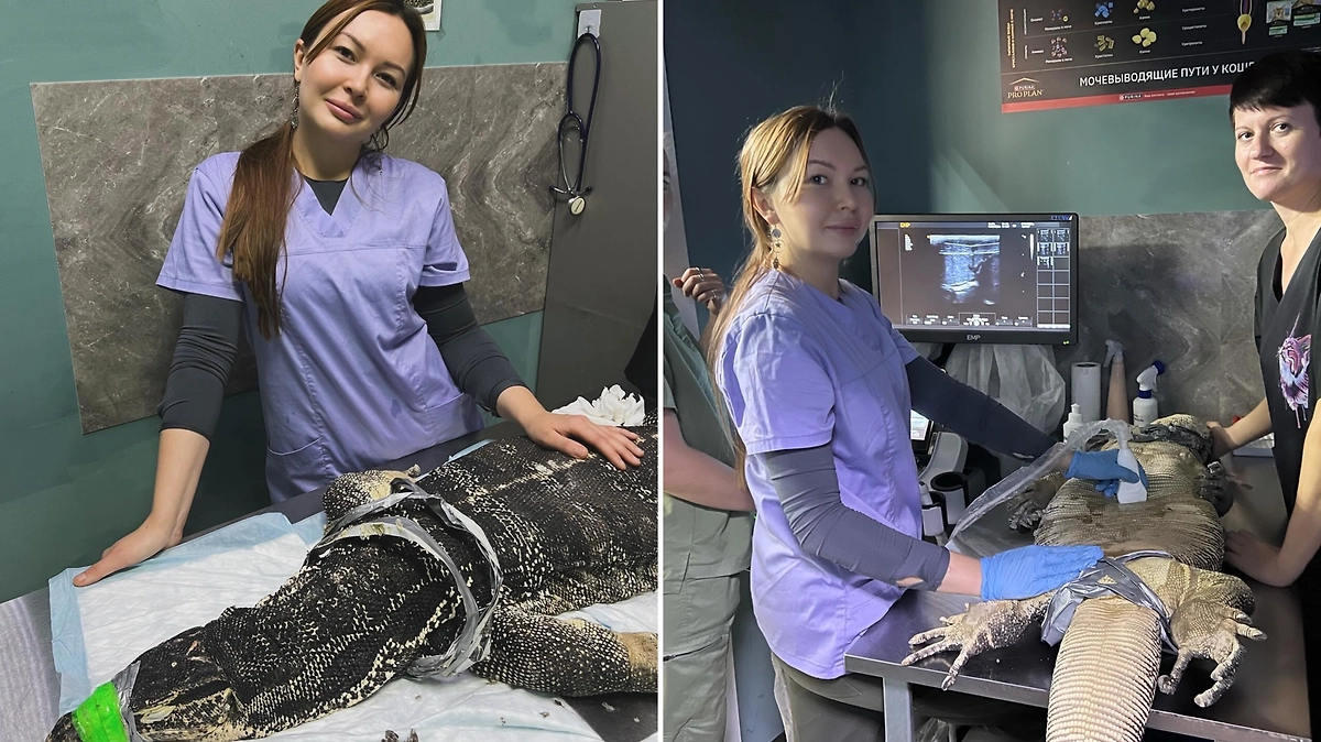 Фото © Личный архив Алии Рафисовны