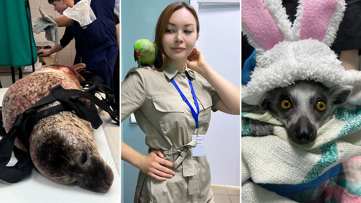 Обложка © Личный архив Алии Рафисовны