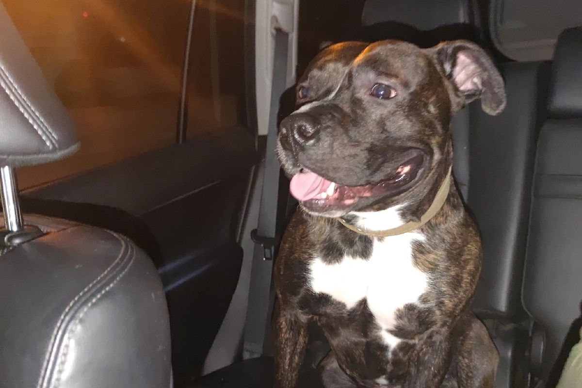 Число 27 вело на убийства. История «богородского маньяка», ценившего цифры больше жизней