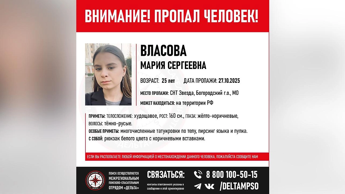 Пропавшая в Богородском округе девушка. Фото © VK / Ногинск Черноголовка Электросталь