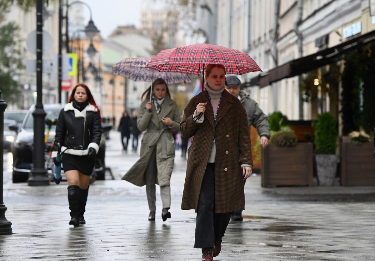 Обложка © Life.ru