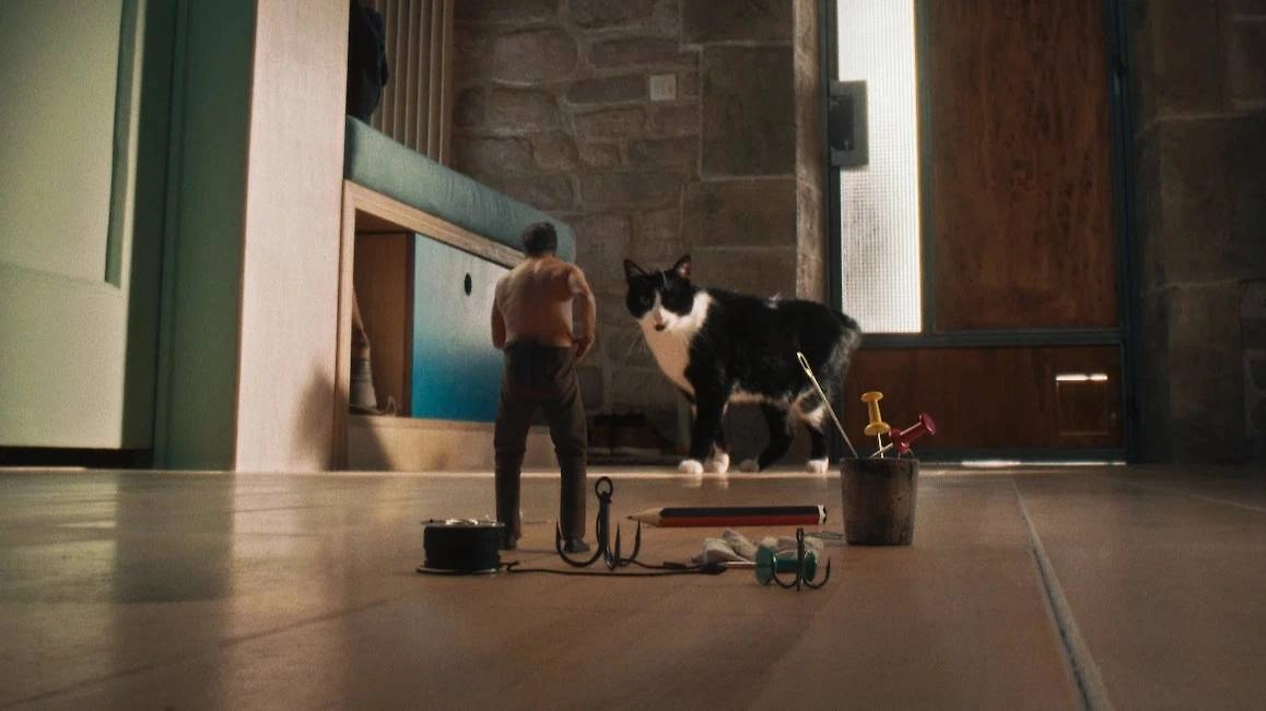 «Дорогая, я уменьшаюсь»: комедия с Жаном Дюжарденом о моряке размером пять сантиметров. Фото © Кадр из фильма «Дорогая, я уменьшаюсь», режиссёр Ян Кунен, сценаристы Кристоф Деланде, Ян Кунен, Ричард Мэтисон / Kinopoisk