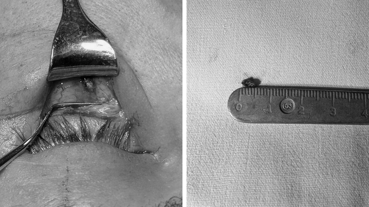 Фото © Предоставлено Life.ru