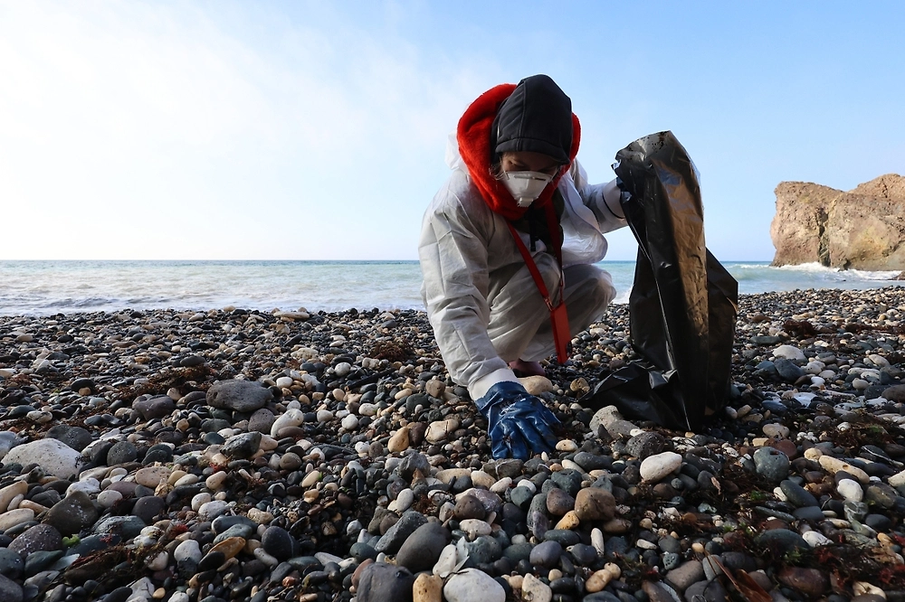 В Чёрном море ликвидируют последствия разлива мазута. Обложка © Shutterstock / FOTODOM / Alexey Pavlishak