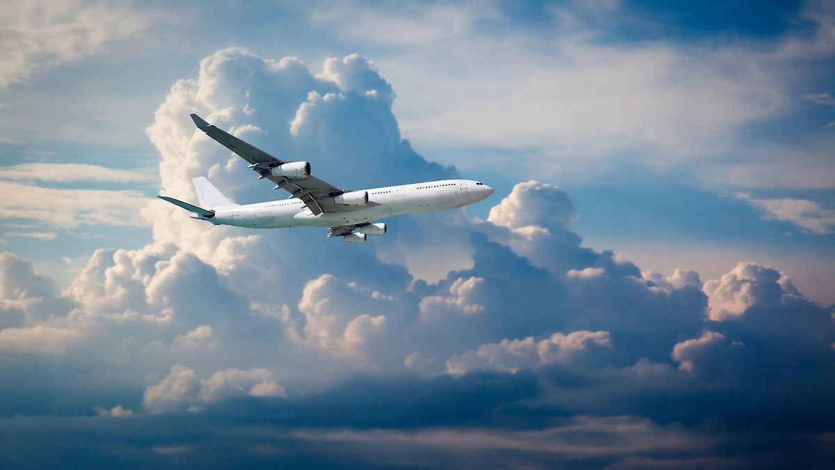 Икона Божией Матери «Монреальская» спасла целый самолёт. Просто силой молитвы. Фото © Shutterstock / FOTODOM / Skycolors