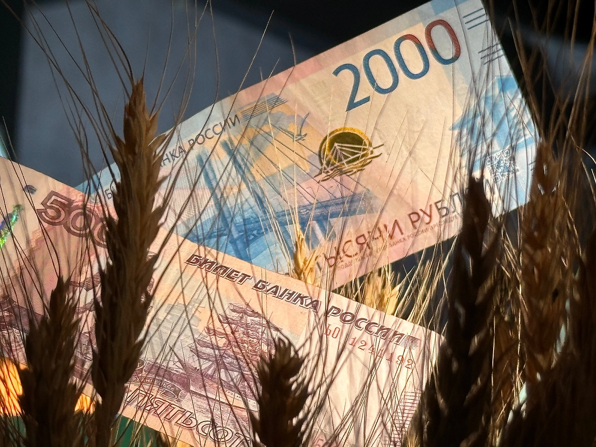 Совфед одобрил закон о повышении МРОТ с 2026 года