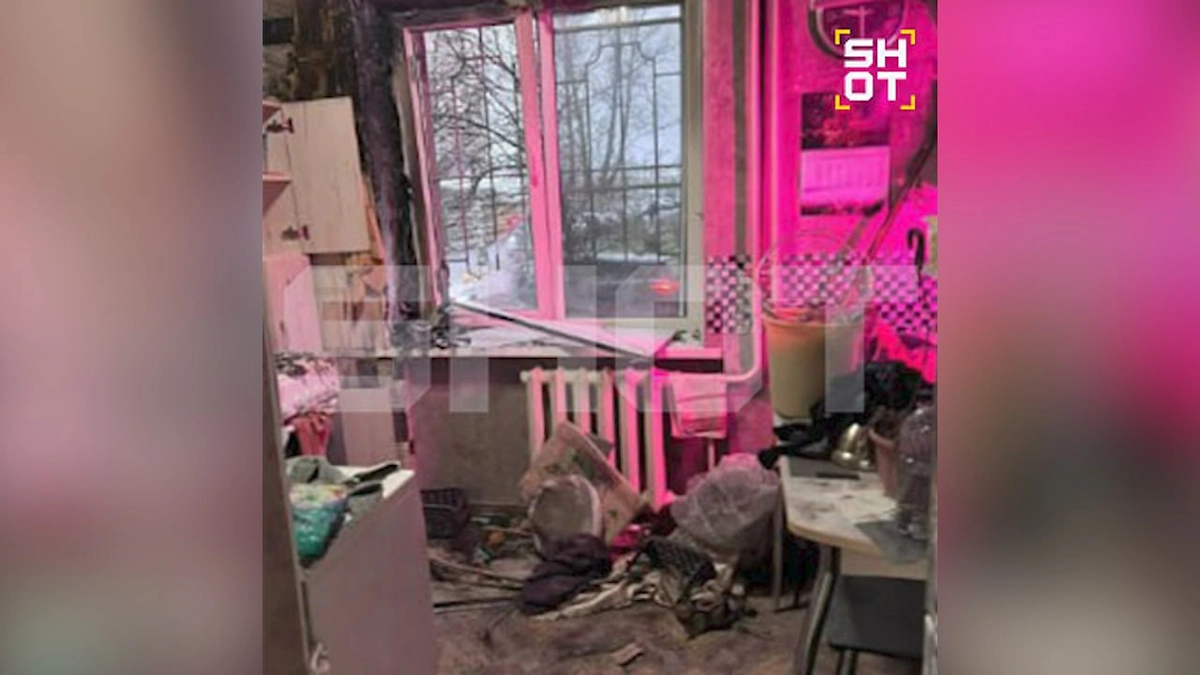 Девочка убила свою мать в Петербурге. Фото © Telegram/ SHOT