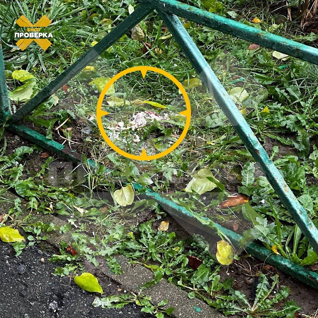 В Тушино активизировались догхантеры. Фото © SHOT ПРОВЕРКА