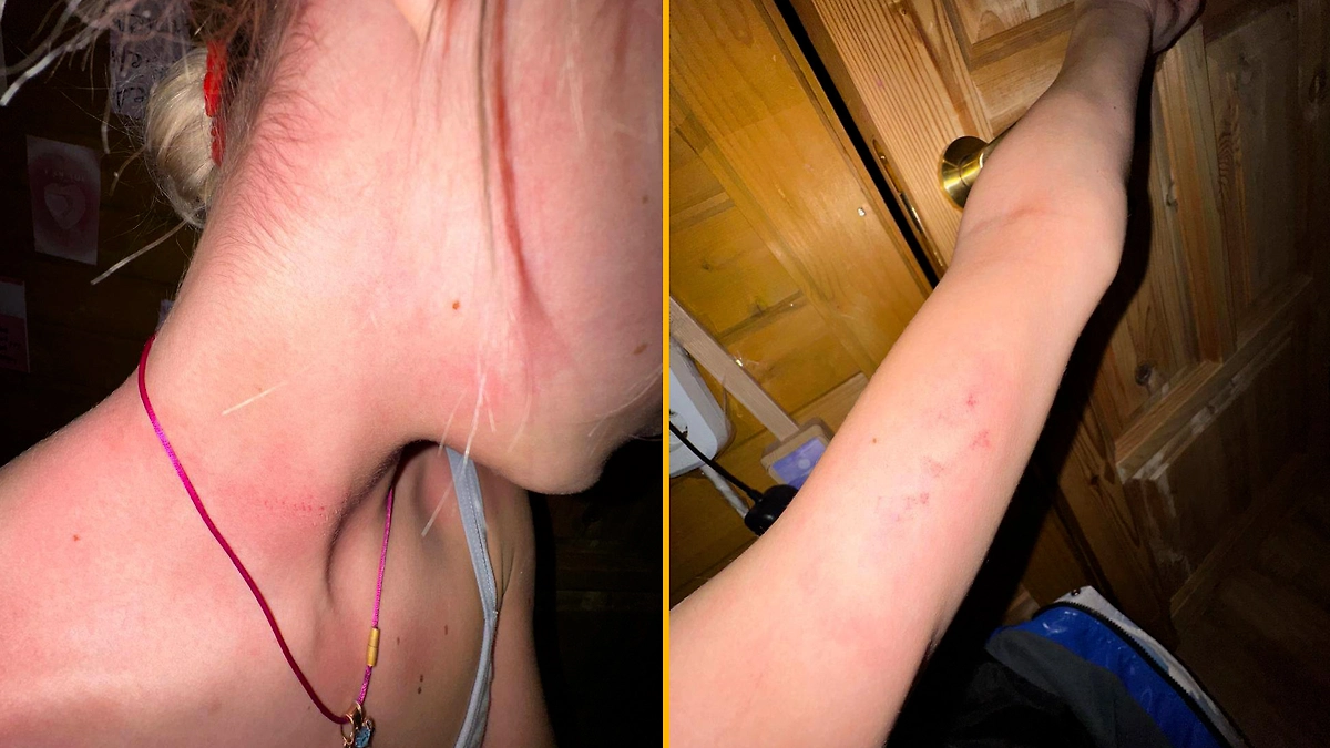 Фото © Telegram / Голубь Мира Яна Рудковская