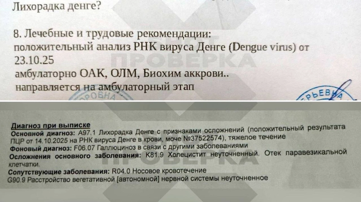 Наибольшему риску заражения подвергаются отдыхающие на островах Укулас и Тинаду. Фото © Telegram / SHOT ПРОВЕРКА