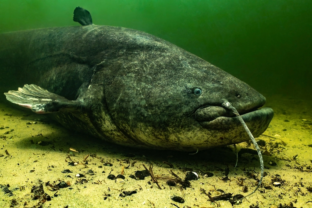 Обложка © Shutterstock / FOTODOM / Subphoto.com