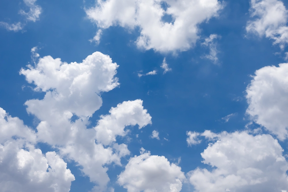 Обложка © Shutterstock / FOTODOM / aeksorayoot