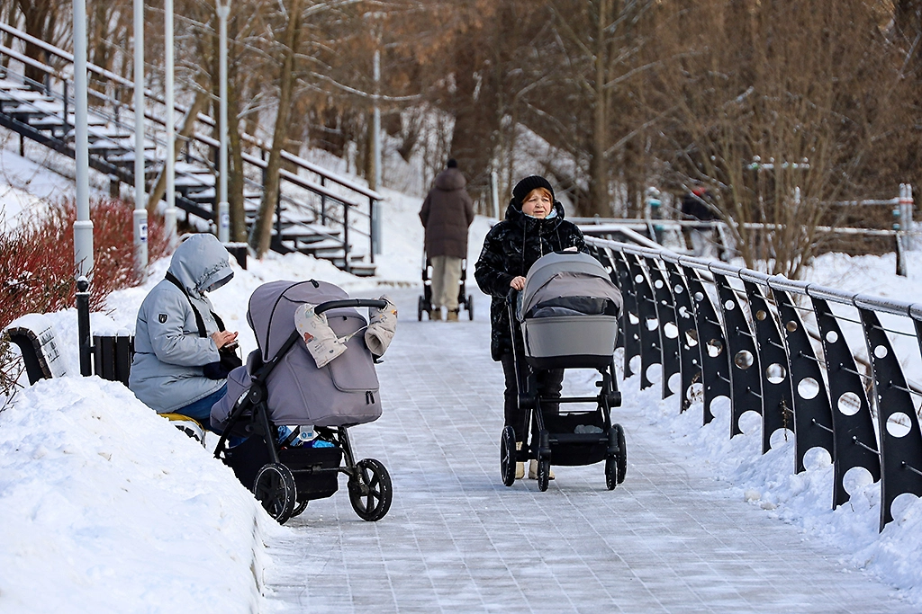 С 1 января 2026 года вступят в силу новые законы о соцвыплатах. Обложка © ТАСС / Олег Елков